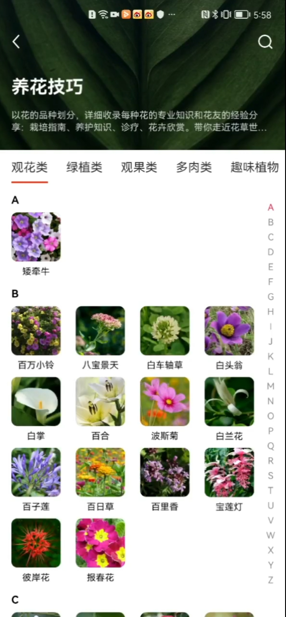 小红书垂类兴趣社区截图 2